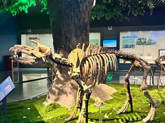 -安徽省地质博物馆