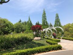 -昆山城市生态森林公园