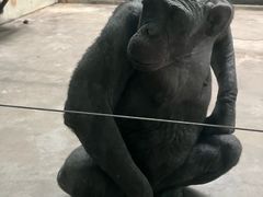 -石家庄市动物园