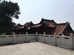 -铁山坪森林公园