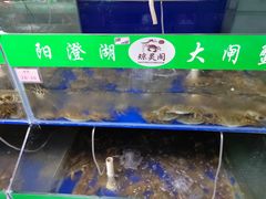 水产区-阳澄湖大闸蟹·琼灵阁牌品牌连锁(吴中总店)