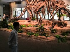 -自贡恐龙博物馆