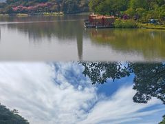 -顺峰山公园