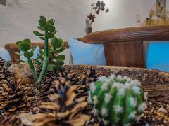 -一杯海(国际海水浴场店)