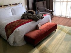 -北京北辰洲际酒店