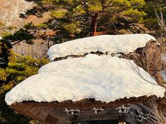 -白川乡与五箇山的合掌构造村落