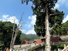 -灵光寺