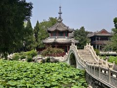 -莲池书院博物馆