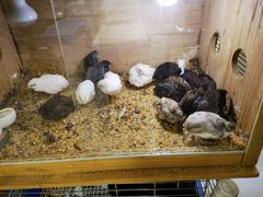 -三旗百汇商品城