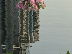 -四海公园(南山区)