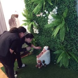 -哈尼Honey baby 儿童摄影(立丰国际公寓店)