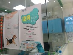 -瑞鹏宠物医院华南总院·夜诊·心脏科·骨科