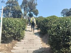 -十里琅珰