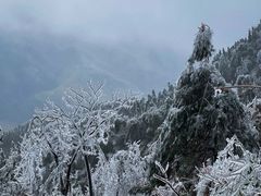 -金子山原生态旅游风景区