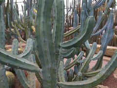 -南通洲际绿博园