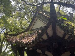 -严子陵钓台(富春江小三峡)