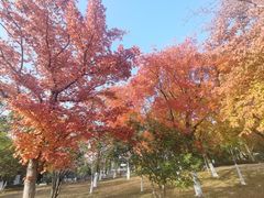 -白塘生态植物园
