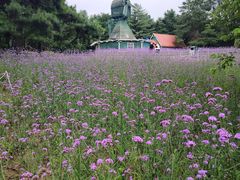 -沈阳植物园