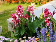 -武汉园博园(武汉自然博物馆)