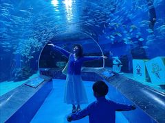 -海合安成都极地海洋公园