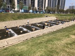 -光明小镇欢乐田园