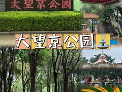-大望京公园