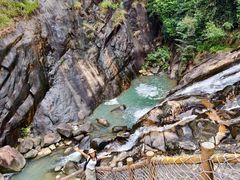 -广州白江湖森林公园