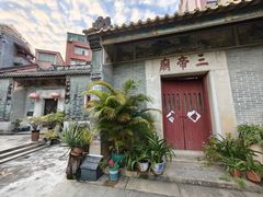 -小洲村