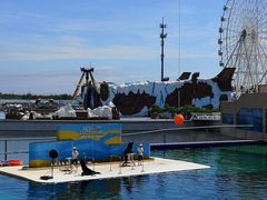 -秦皇岛乐岛海洋王国