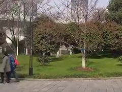 -堤角公园