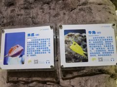 -杭州海底世界