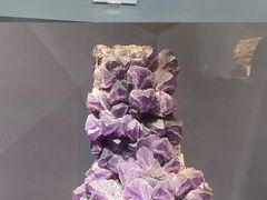 -湖南省地质博物馆