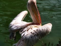 -云南野生动物园