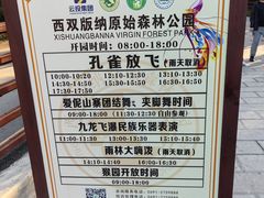 -西双版纳原始森林公园