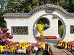 -上海共青森林公园