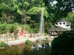 android_upload_pic-忠山公园