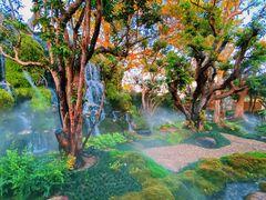 -Chom Cafe and Restaurant