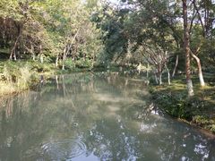 -青枫公园