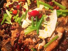 老板恋上鱼-老板恋上鱼(高新万达店)