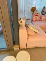 -Beauty Nails 美甲美睫皮肤管理