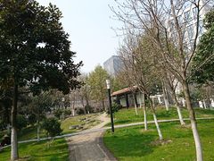 -后襄河公园