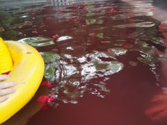 -天目湖御水温泉·度假酒店