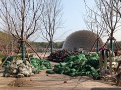 -上海吴淞炮台湾国家湿地公园