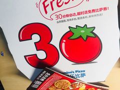 外送披萨-达美乐比萨(武定店)