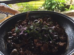 -园林美食城·本土农家菜(杨和镇店)