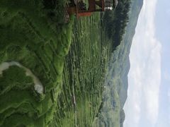 -紫鹊界梯田景区