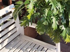 -阿诺泰·泰国餐厅(紫荆店)