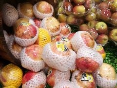 -百果园PAGODA(玄武成贤街店)