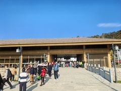 -千年银杏谷文化旅游区