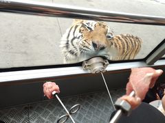 景点-西安秦岭野生动物园